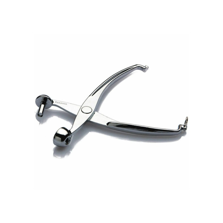 SNOCCIOLA CILIEGIE E OLIVE INOX